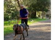 ¿Cómo correr perro?