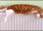 mentiras sobre calefacción