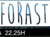 Foraster