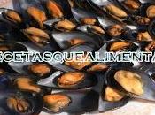 Mejillones vapor