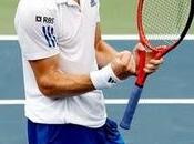 Murray Federer definirán título Toronto