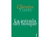 Nuevo Blog: mirada bosque'