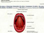 diccionario visual: recurso para
