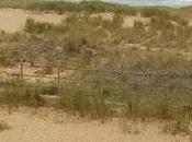 dunas Liencres