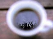 ¿Sabes cuál mejor hora para tomar café según neurociencia?