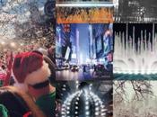 estadísticas Instagram durante este 2013