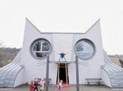 Arquitectura gatuna