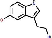 Como aumentar nuestro índice serotonina.