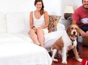 Perro bordo