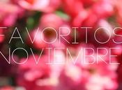 Favoritos noviembre 2013