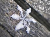 welcome winter