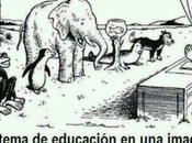 Humor para acabar 2013
