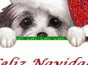 ¡¡os deseo feliz navidad todos!!