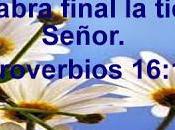 planes para 2014
