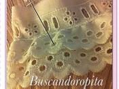 Volantes culete handmade Mysemes