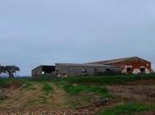 Cortijo Silencio