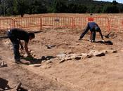 ¿Que hace falta para arqueologo?