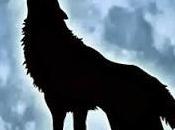 palabras: Perdido bosque