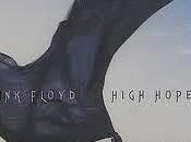 Pink Floyd High Hopes (1994)