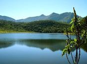 Lagunas Yala, espejos agua altura vegetación imponente