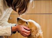 sueños necesitan cariño