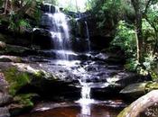 Salto Guaraní Falso Cristal. Ybycuí. Paraguay