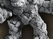 Giant Stone Golem Puppets