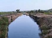 Carlos III, delta Ebro olvidado canal marítimo