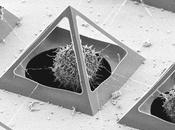 Nanotecnología atrapa células pirámides