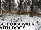 walk with dogs