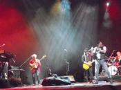 Homo erraticus pasará españa.