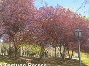 Parque norte-madrid