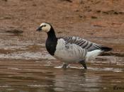 Éxitos fracasos última semana