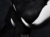 Documental Blackfish