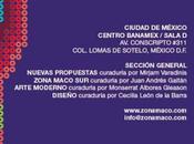 Zona Maco 2014