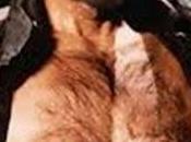 Gallardón: libertador mujer”