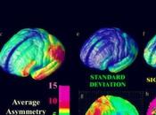 (PDF) Neuroimagen funcional estudio conductas agresivas pacientes esquizofrenia