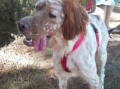 Mara, setter imposible describir