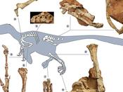 dinosaurio “dragón robusto” aterrorizó Europa Cretácico Superior