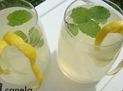 Limonada Hierbabuena Gratitud