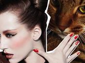 Fabulous Felines