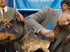Doberhuahua, anuncio Audi para Super Bowl