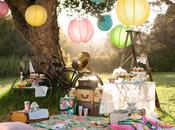 picnic themed wedding