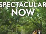 "The Spectacular Now" será publicado español