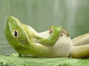 Poesía: dulce alimento