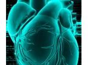 Valoración geriátrica factores asociados mortalidad ancianos insuficiencia cardíaca ingresados unidad geriatría agudos.