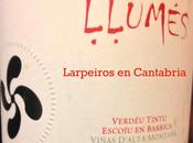 Vino Tinto Llumés 2010: Buena evolución