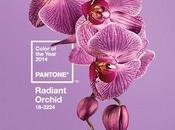 Orquidea radiante, color 2014
