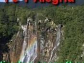 alegría