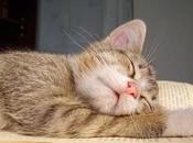 Off-Topic: Circulo Lectores